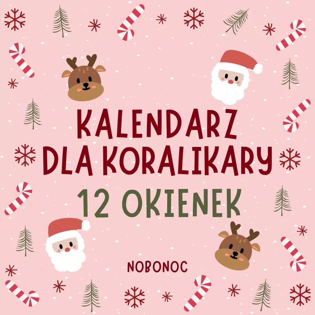 🌙 Kalendarz Adwentowy 12